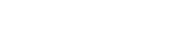 neumorphism white drop shadow banner sale
